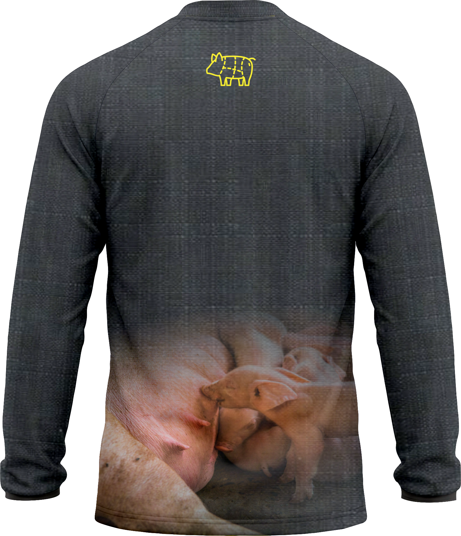 Camiseta Suinocultura Brasileira - Imagem 2